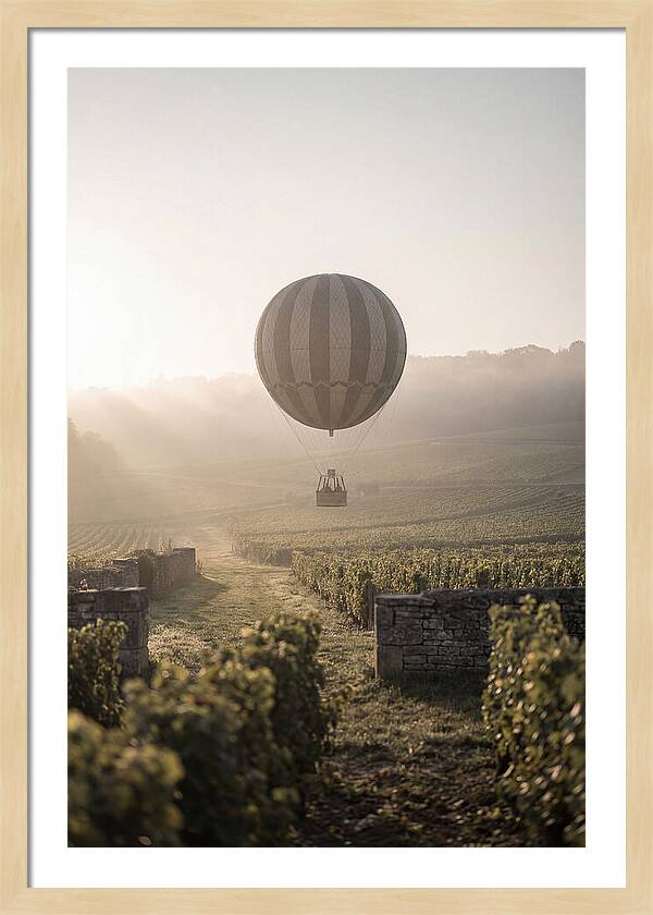 Single Hot Air Balloon Over Vineyard