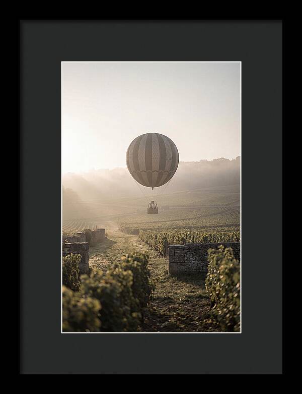 Single Hot Air Balloon Over Vineyard