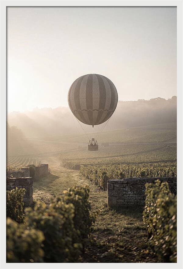 Single Hot Air Balloon Over Vineyard