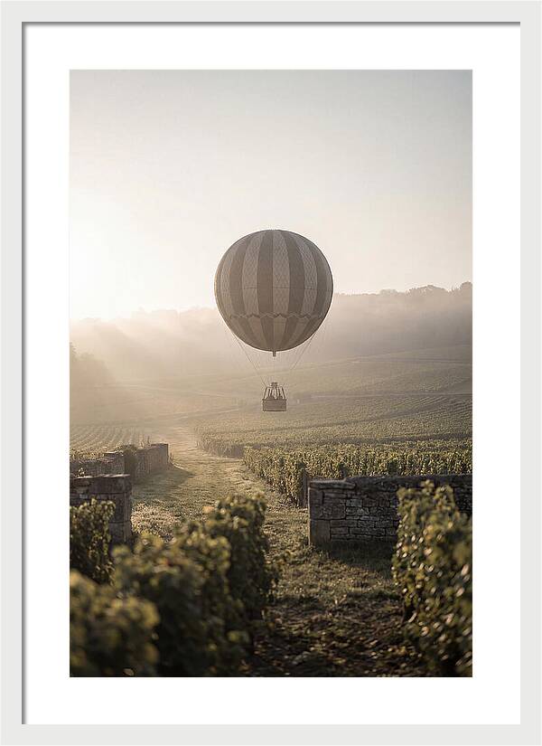 Single Hot Air Balloon Over Vineyard