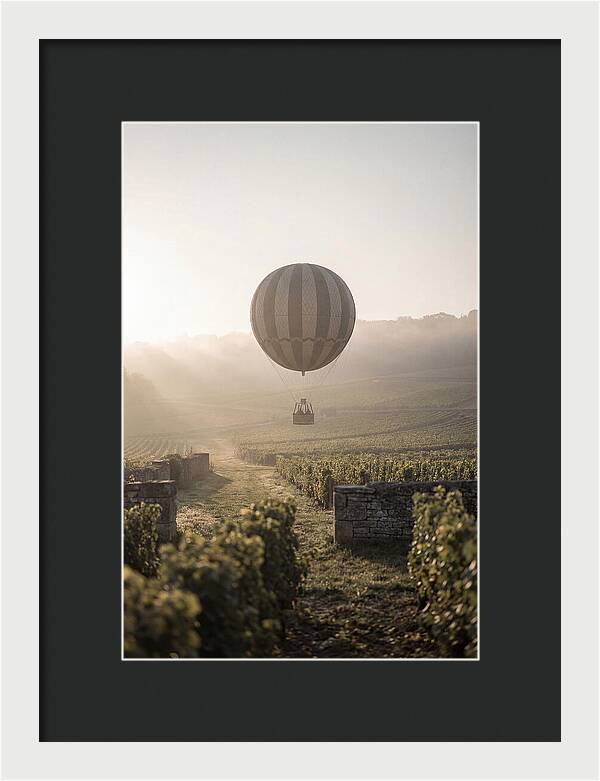 Single Hot Air Balloon Over Vineyard