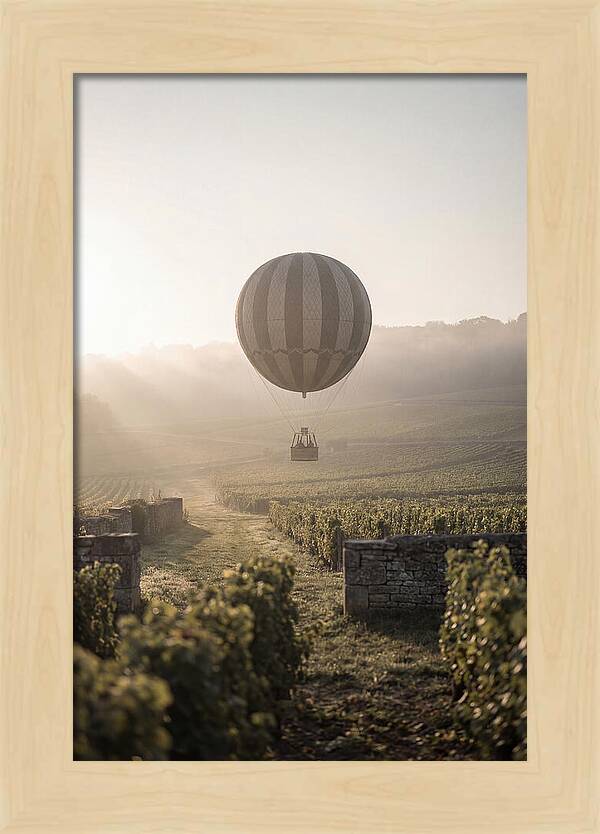 Single Hot Air Balloon Over Vineyard