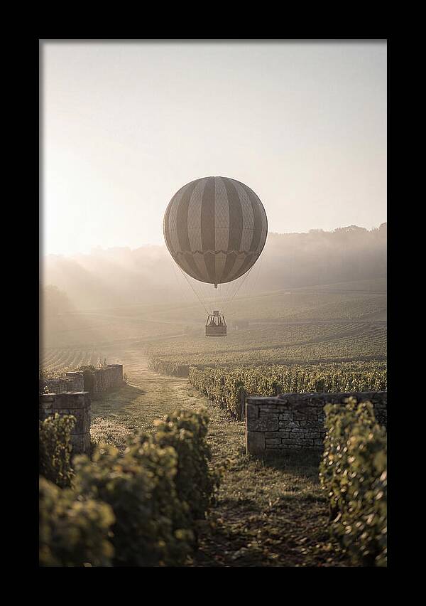 Single Hot Air Balloon Over Vineyard
