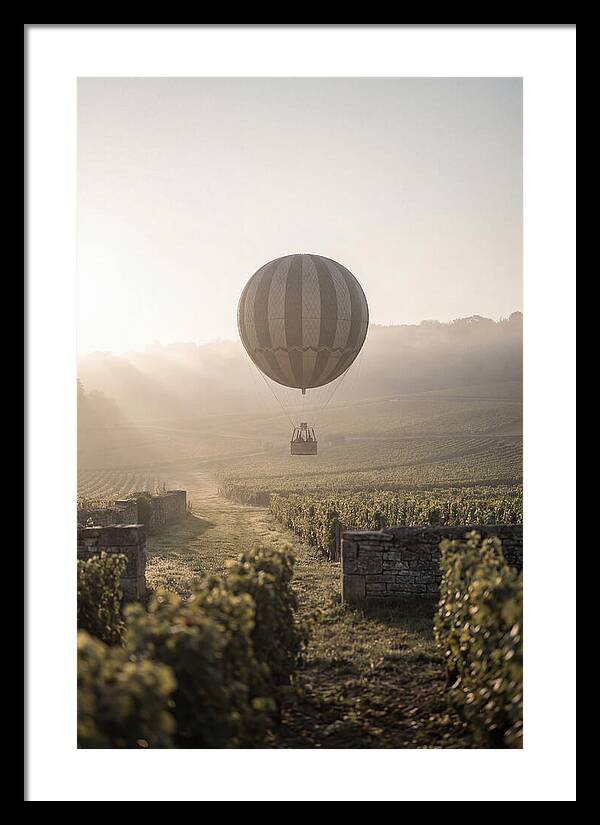 Single Hot Air Balloon Over Vineyard