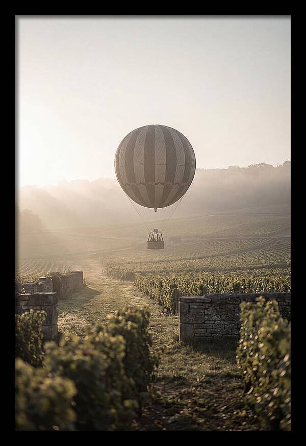 Single Hot Air Balloon Over Vineyard