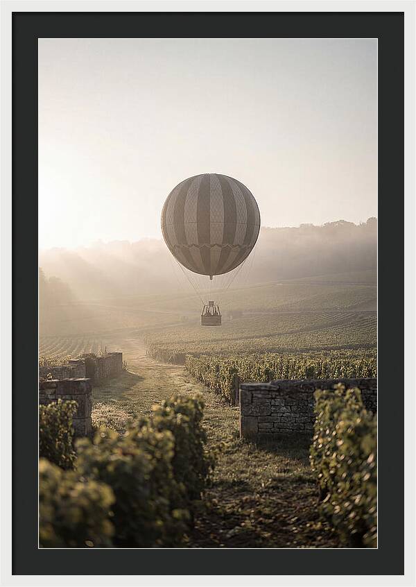 Single Hot Air Balloon Over Vineyard