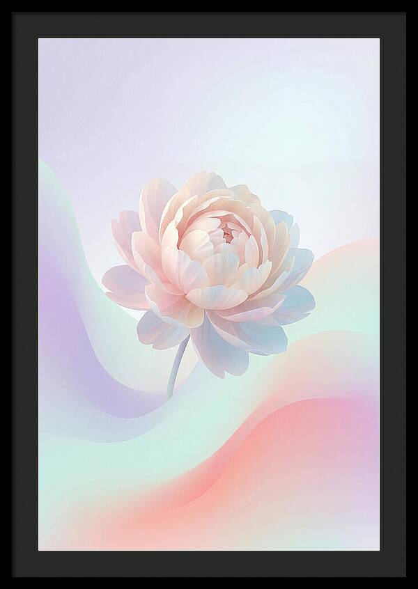 Single Peony Bloom