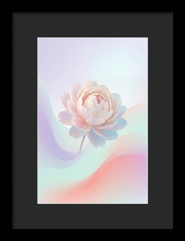 Single Peony Bloom