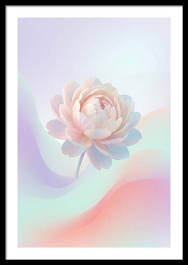 Single Peony Bloom