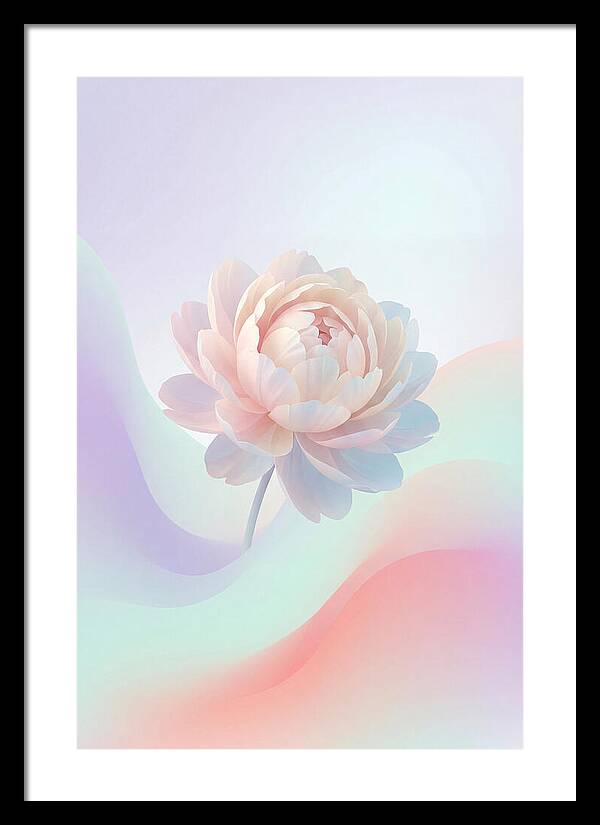 Single Peony Bloom