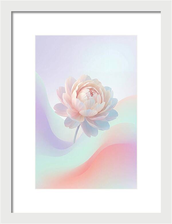 Single Peony Bloom