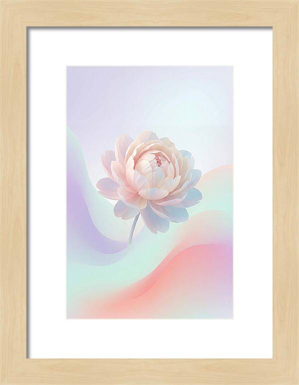 Single Peony Bloom