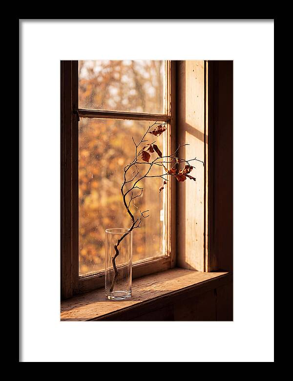 Single Stem In Clear Glass Vase