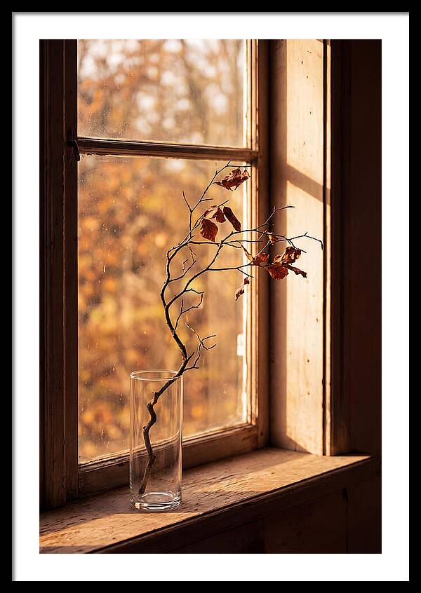 Single Stem In Clear Glass Vase