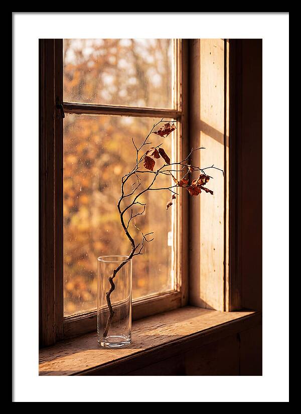 Single Stem In Clear Glass Vase