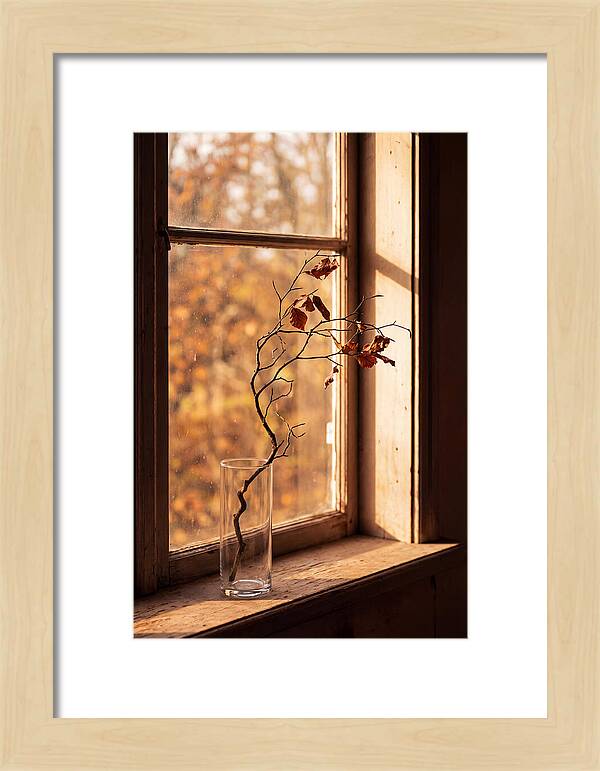 Single Stem In Clear Glass Vase