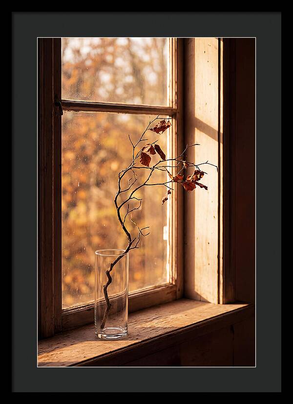 Single Stem In Clear Glass Vase