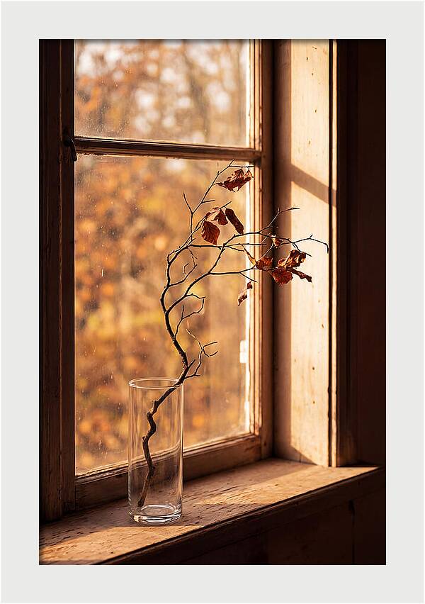 Single Stem In Clear Glass Vase