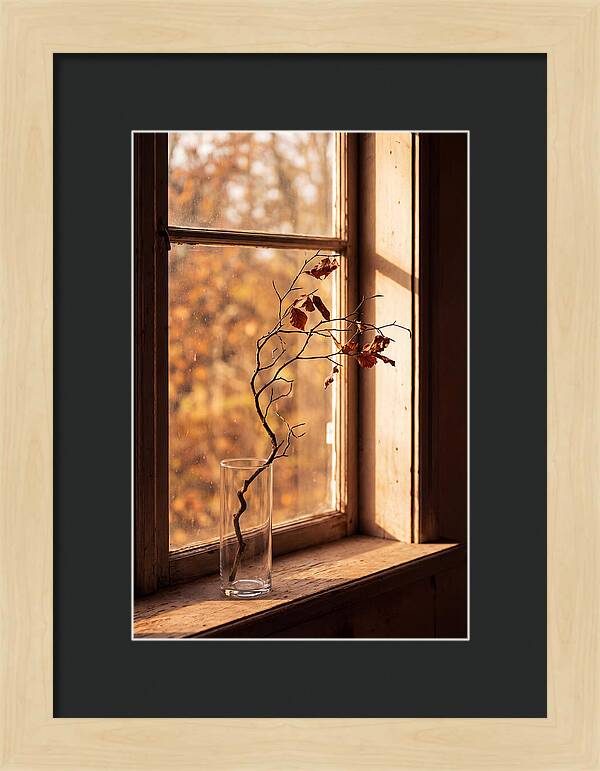 Single Stem In Clear Glass Vase