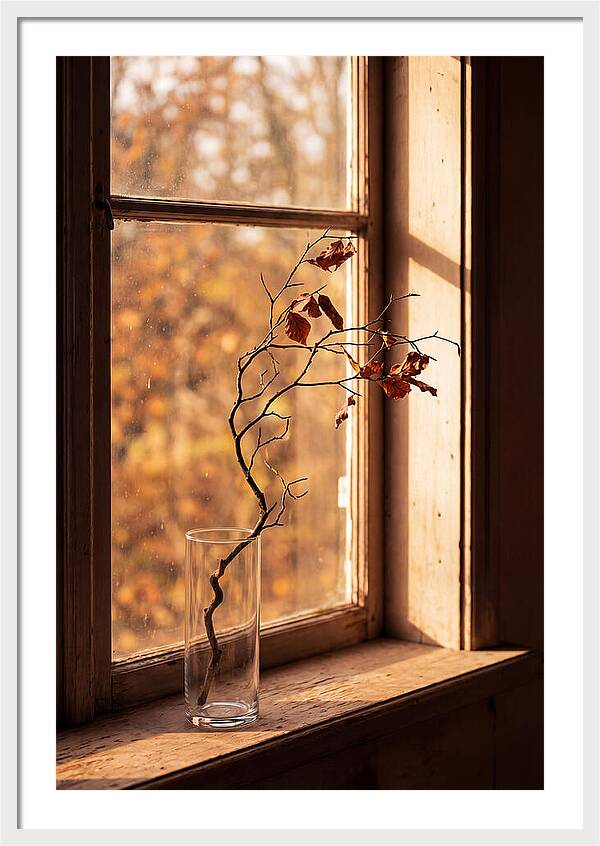 Single Stem In Clear Glass Vase