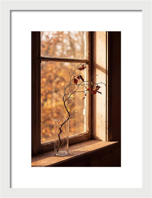 Single Stem In Clear Glass Vase