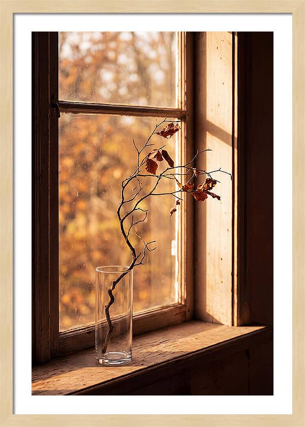 Single Stem In Clear Glass Vase