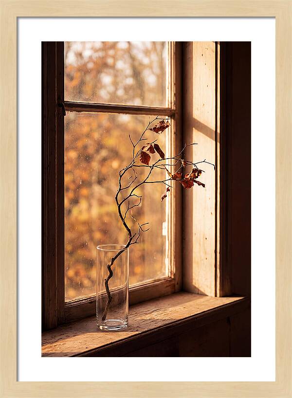 Single Stem In Clear Glass Vase