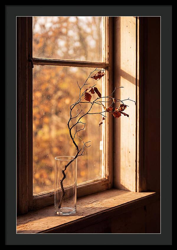 Single Stem In Clear Glass Vase