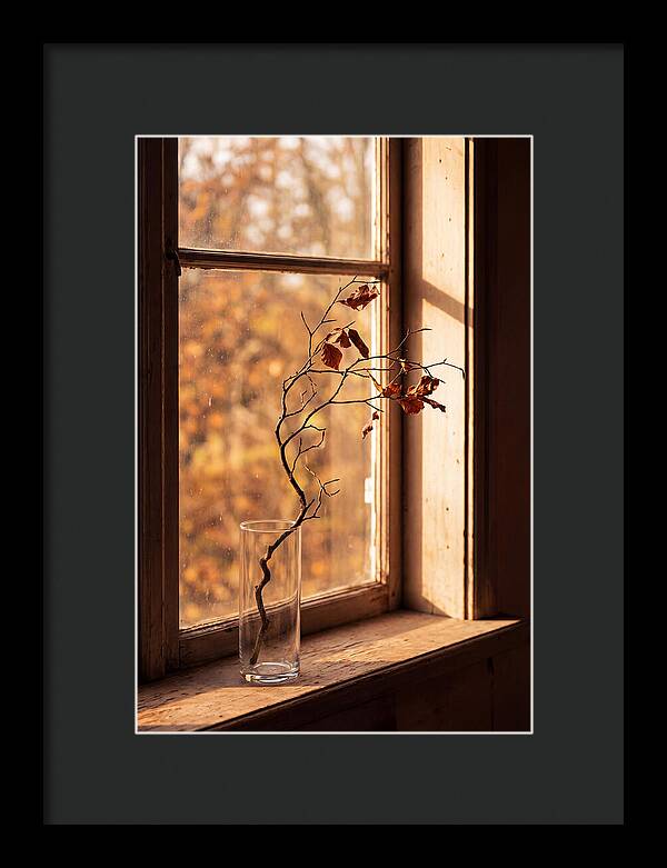 Single Stem In Clear Glass Vase