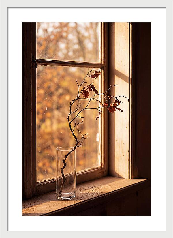 Single Stem In Clear Glass Vase
