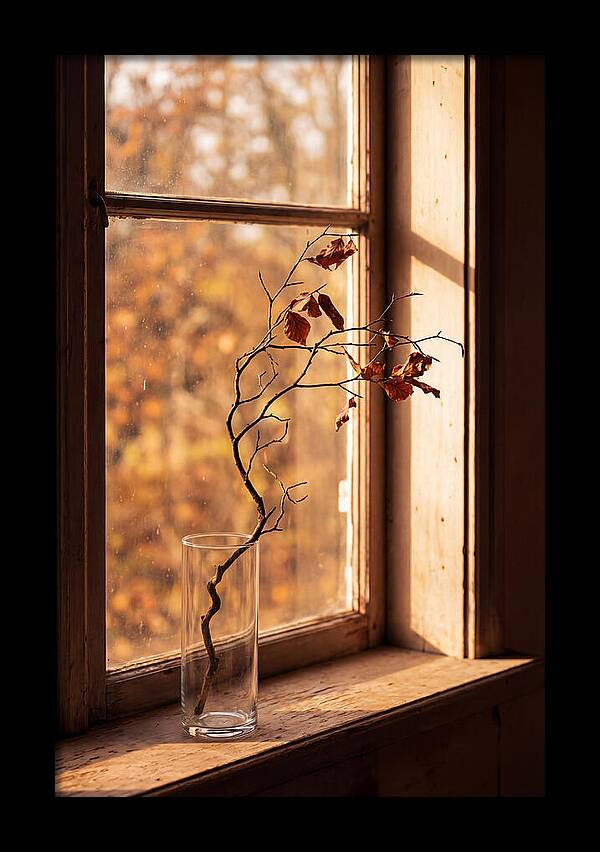 Single Stem In Clear Glass Vase