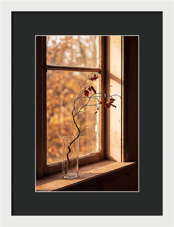 Single Stem In Clear Glass Vase