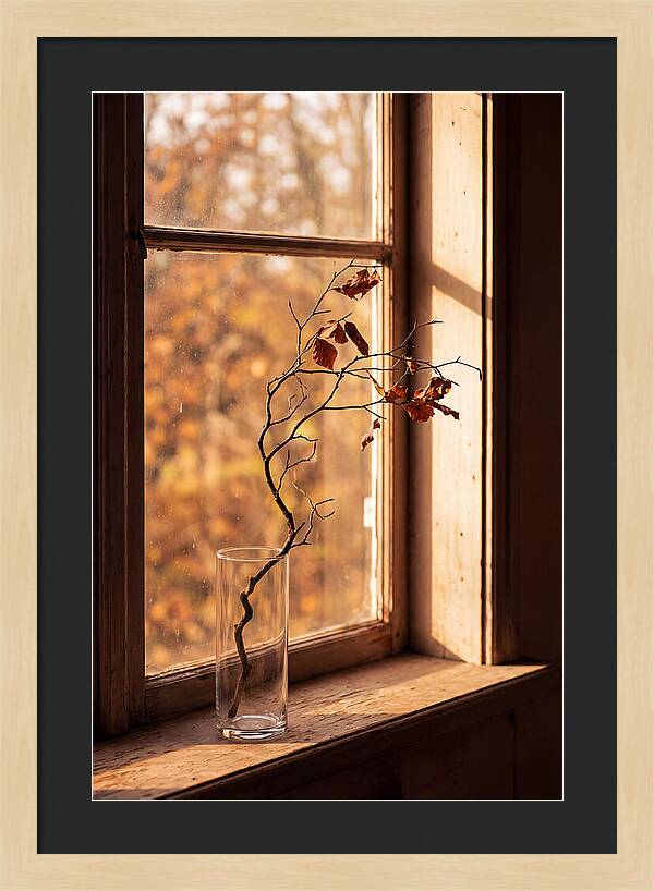 Single Stem In Clear Glass Vase