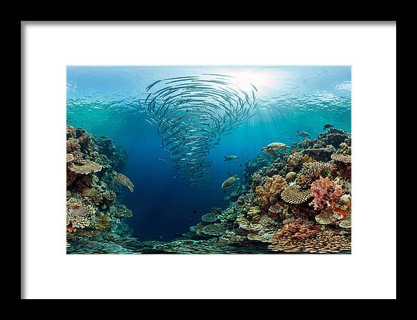 Sipadan Island Underwater Wonders