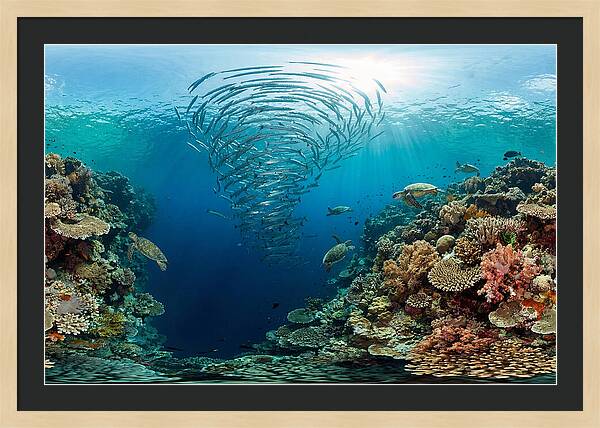 Sipadan Island Underwater Wonders