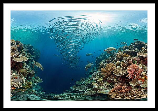 Sipadan Island Underwater Wonders