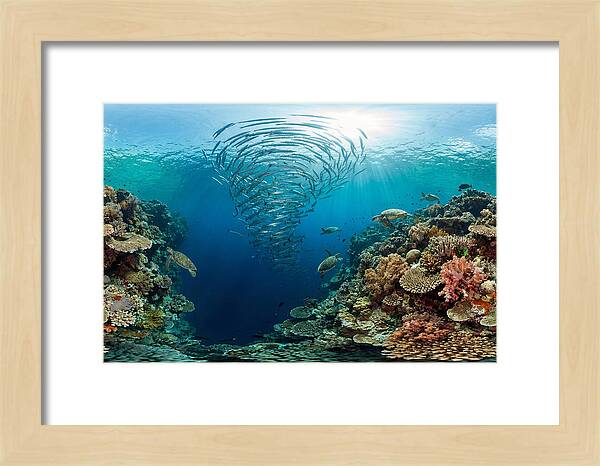 Sipadan Island Underwater Wonders