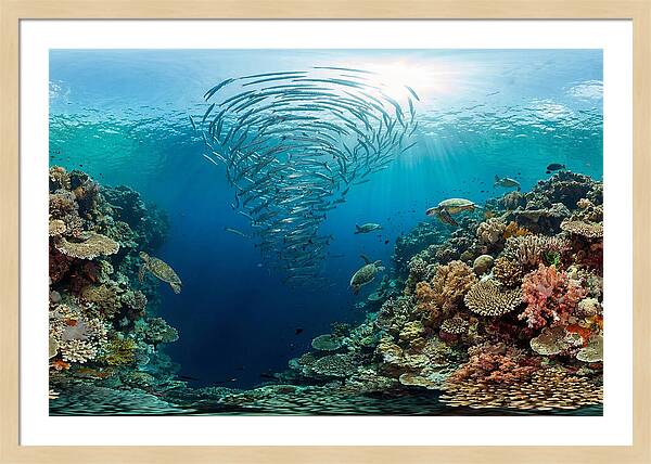 Sipadan Island Underwater Wonders