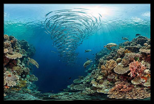 Sipadan Island Underwater Wonders