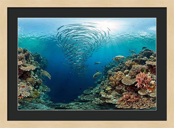 Sipadan Island Underwater Wonders
