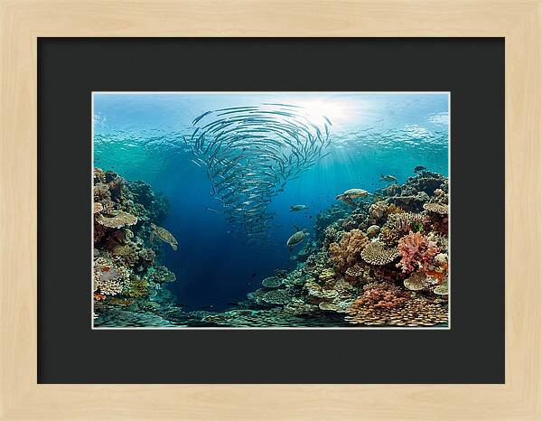 Sipadan Island Underwater Wonders