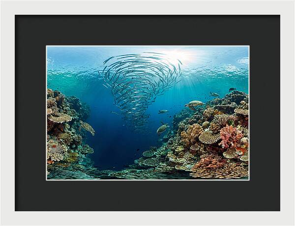 Sipadan Island Underwater Wonders