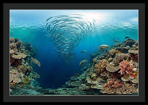 Sipadan Island Underwater Wonders