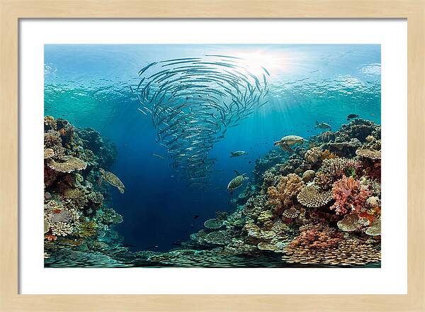 Sipadan Island Underwater Wonders