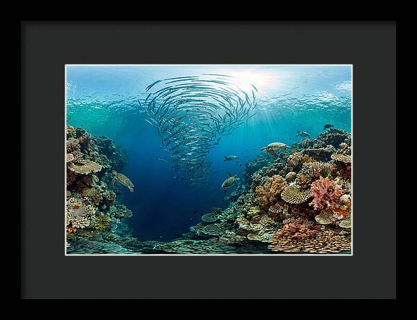 Sipadan Island Underwater Wonders