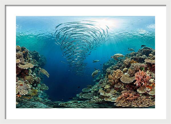 Sipadan Island Underwater Wonders