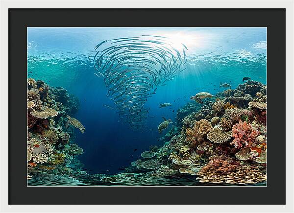 Sipadan Island Underwater Wonders