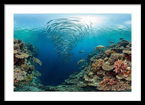 Sipadan Island Underwater Wonders