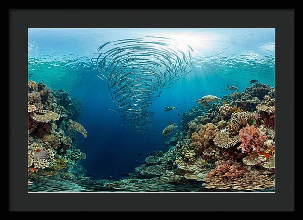 Sipadan Island Underwater Wonders