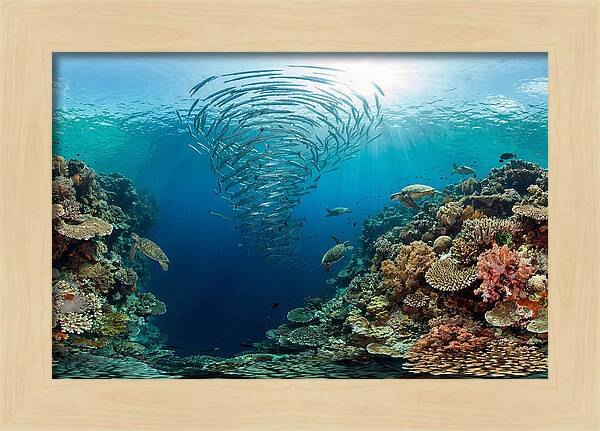 Sipadan Island Underwater Wonders